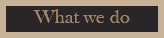 What we do